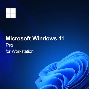 Microsoft Windows 11 Pro per Workstation