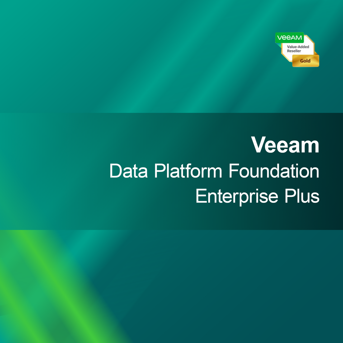 Plataforma de Dados Veeam Foundation Enterprise Plus