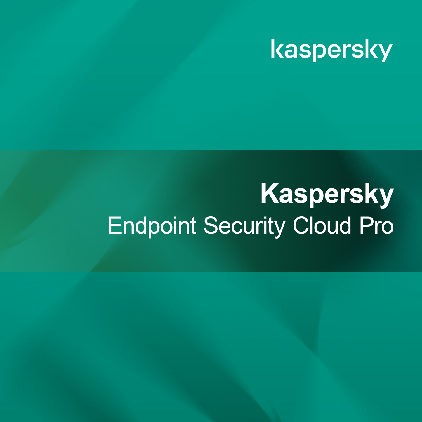 Kaspersky Securitate Endpoint Cloud Pro